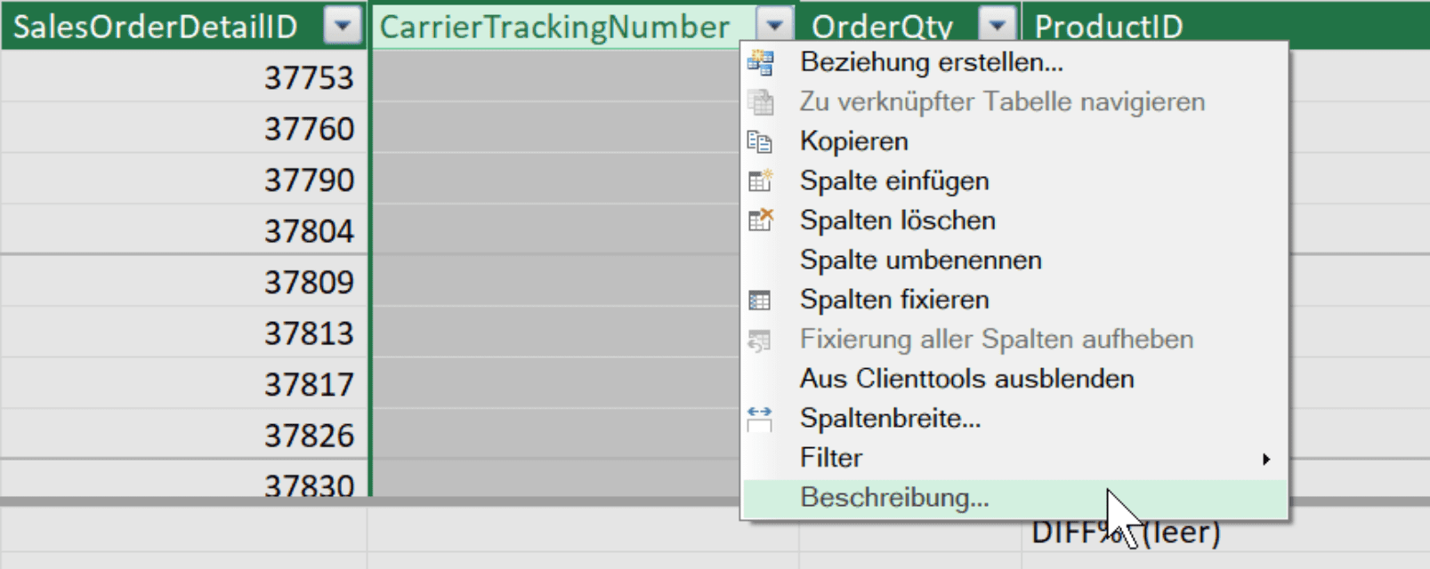 Kontextmenü zur Spaltenbeschreibung in Excel Power Pivot